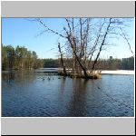 Kanclir  3.12.2008 11-14-08.JPG